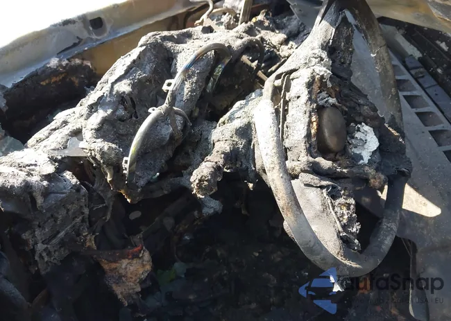 1G1PF5SC0C7271081: 42824171