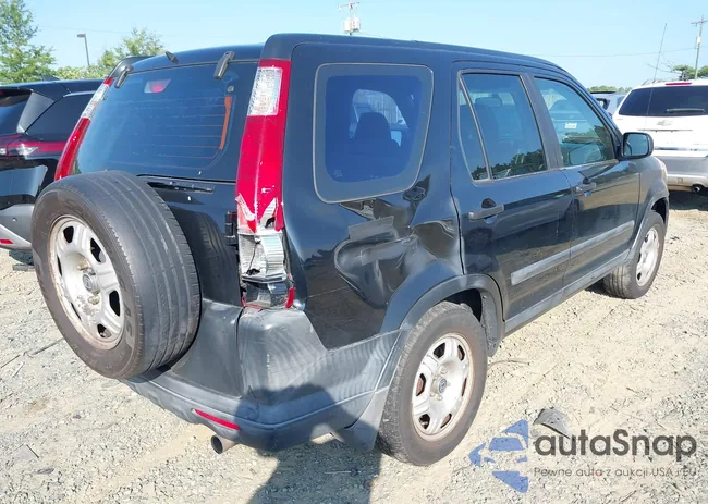 SHSRD68575U305530: 42824398