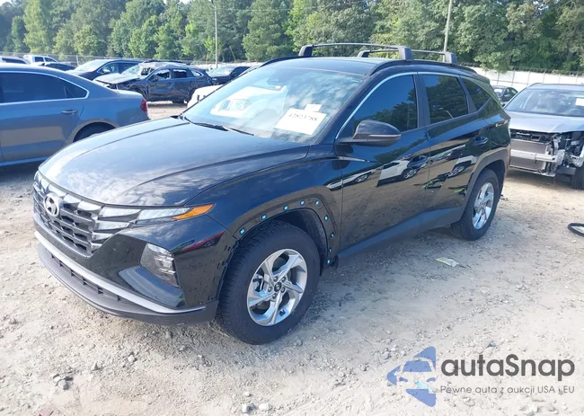 5NMJBCAE3NH135975: 42823788