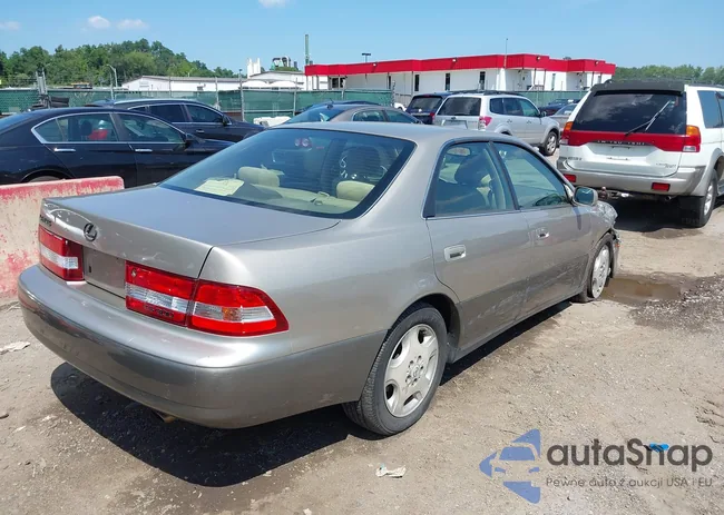 JT8BF28GXY0265376: 42825342