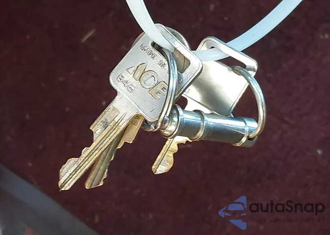 1JTML63P3JT230344: 42824658