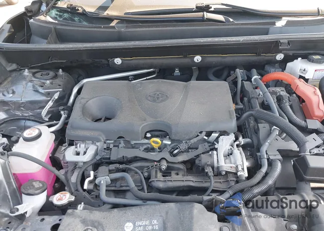 JTMLWRFV1MD126238: 42824869