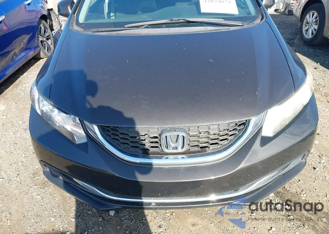 2HGFB2F59DH517917: 42824871