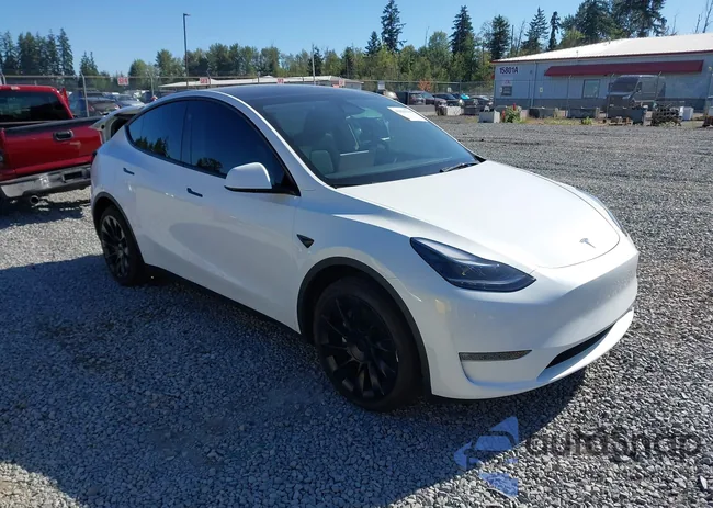 7SAYGAEEXSF240575: 42826258