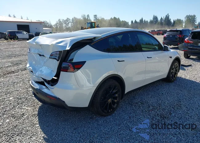 7SAYGAEEXSF240575: 42826258