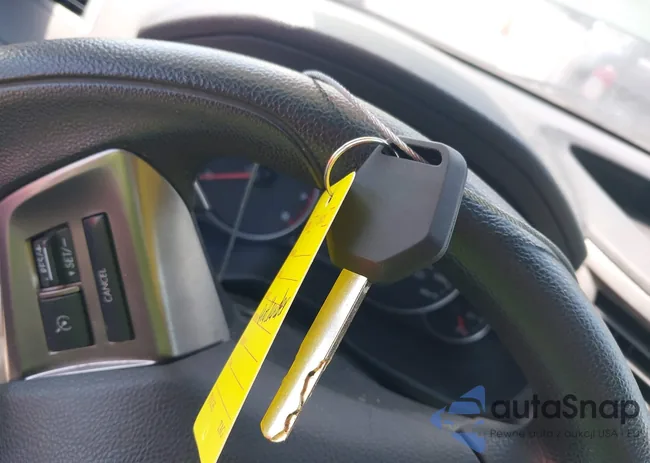 4S4BRCAC3D3264905: 42825698