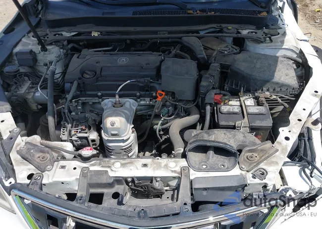 19UUB1F52FA004625: 42828221