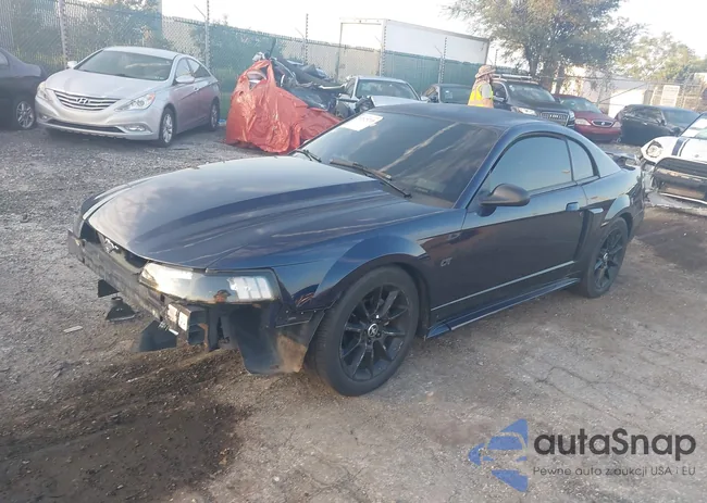 1FAFP42X02F125058: 42829218