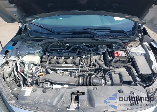 19XFC1F34LE204417: 42829880