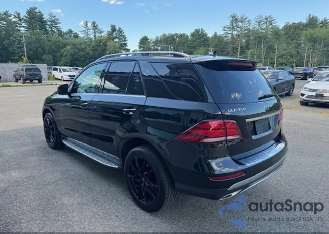 4JGDA5HB6GA770480: 42830262