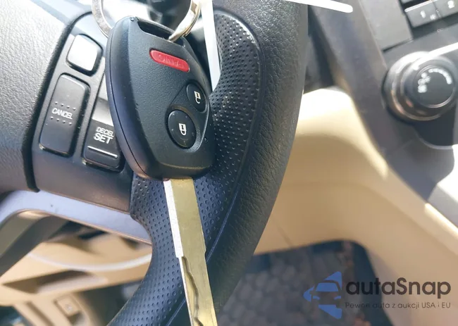 5J6RE4H54AL010041: 42829858