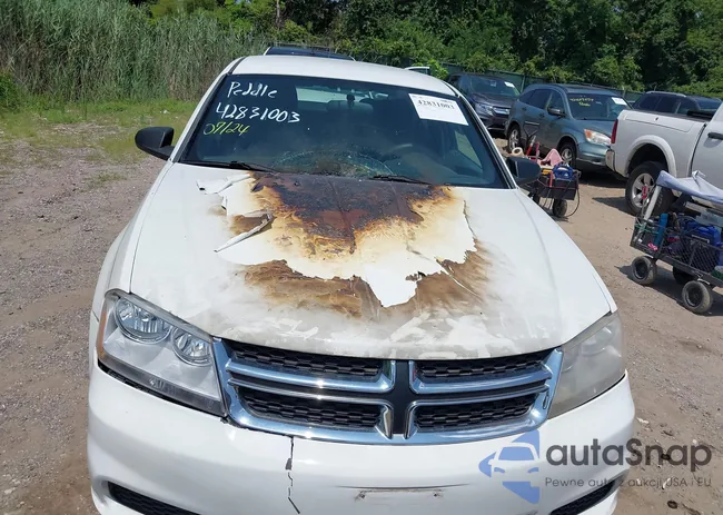 1C3CDZAB0EN190628: 42831003