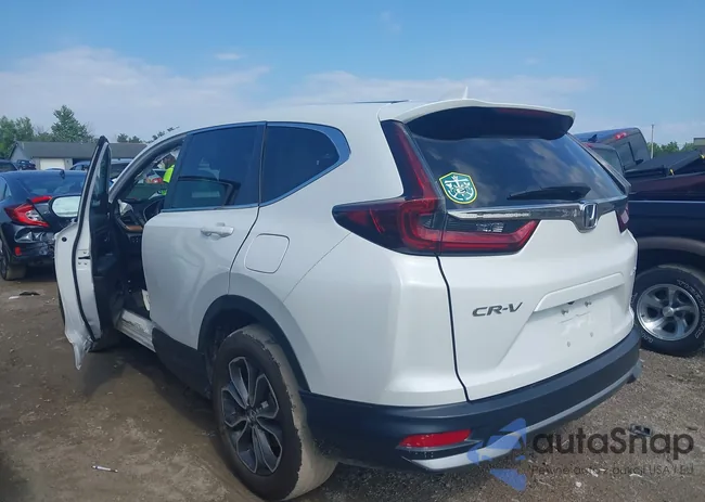 5J6RW2H81ML011924: 42831018