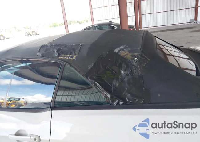 1ZVBP8EM5E5238402: 42832956