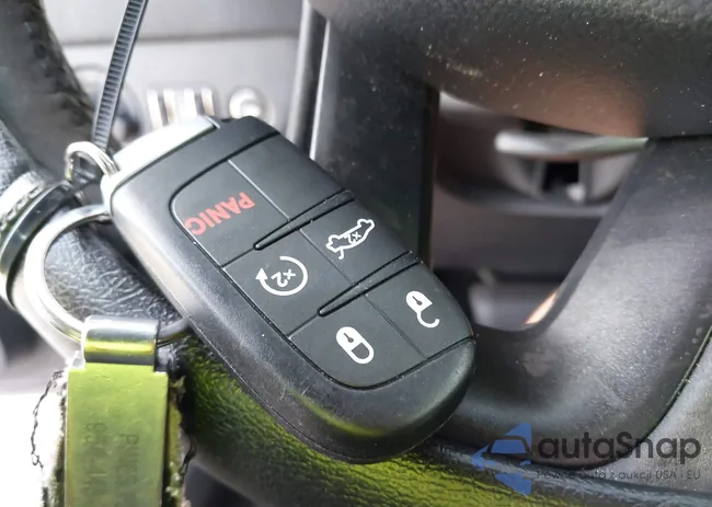 2C3CDXHGXMH569732: 42833229