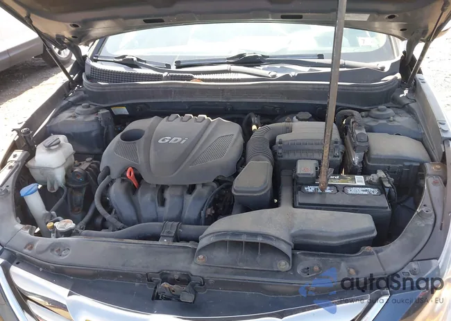 5NPEC4AC0DH599438: 42833860