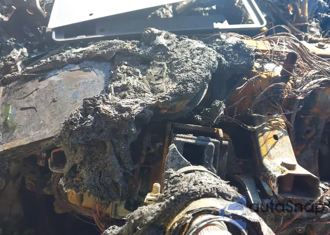 3C4NJDCB9LT137971: 42833926