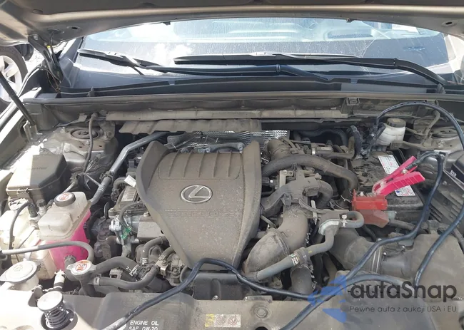 JTJGGCEZ5N2005464: 42836005