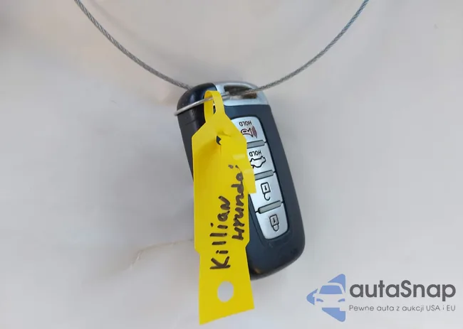 5NPDH4AE9DH415919: 42836976