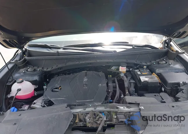 5NTJB4DEXSH133352: 42836778