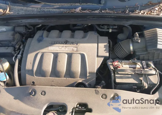 5FNRL38417B136785: 42839529