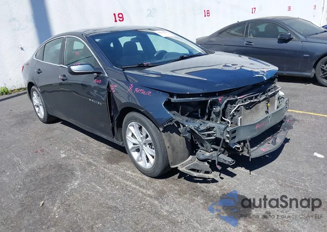 1G1ZD5ST8MF061124: 42841293