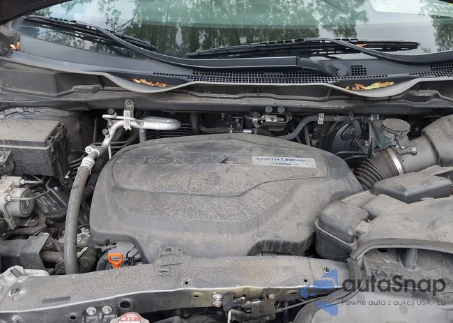 5FNRL6H5XKB101407: 42846191