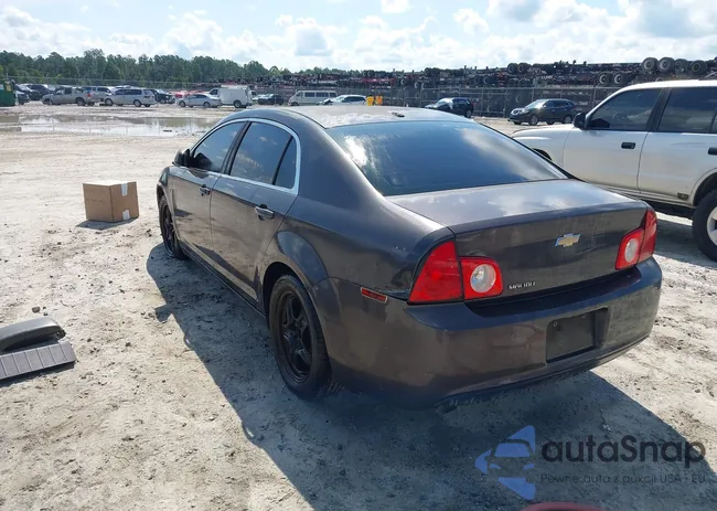 1G1ZA5E10BF346125: 42846217