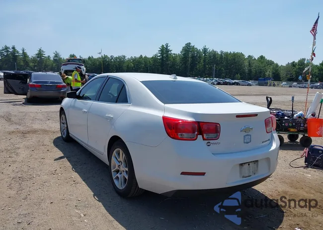 1G11F5RR4DF117058: 42846358