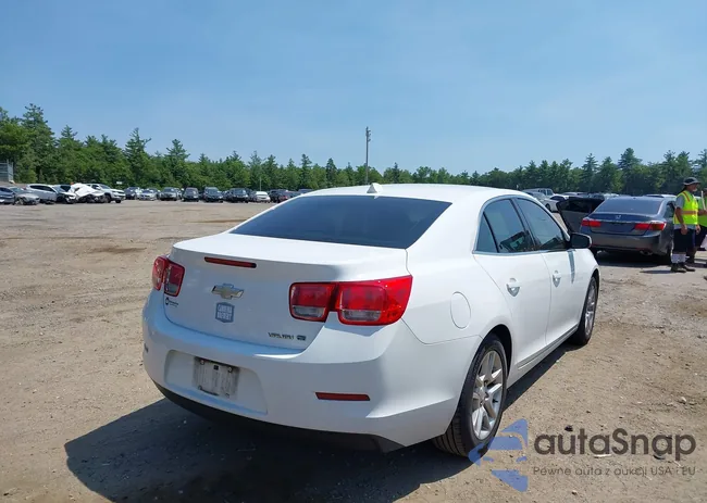 1G11F5RR4DF117058: 42846358