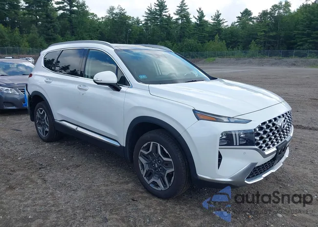 5NMS4DAL5NH399802: 42845711