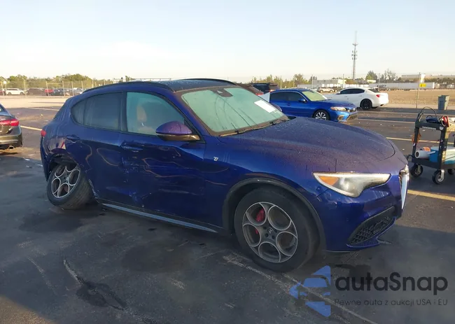 ZASPAKBN0N7D47317: 42845733