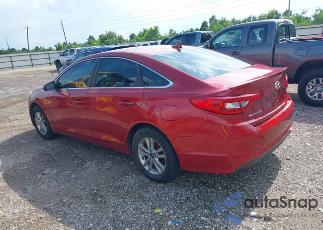 5NPE24AF9HH537846: 42847054