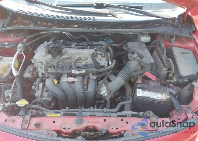 2T1BU4EE1CC895484: 42846652