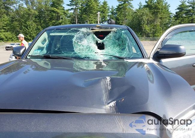 3TMDZ5BN4KM063826: 42847591