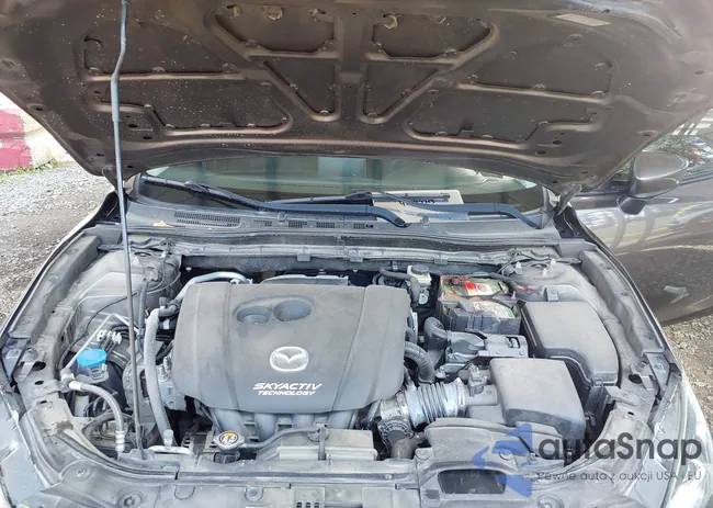 3MZBM1T73GM238568: 42847713