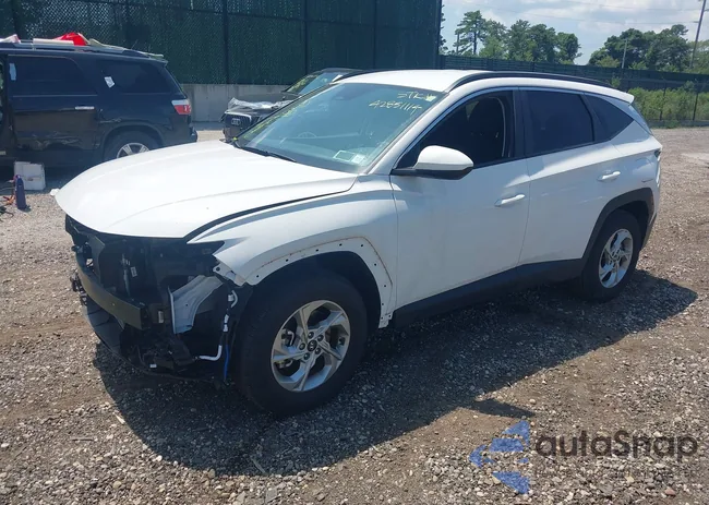 5NMJBCDEXRH366650: 42851114