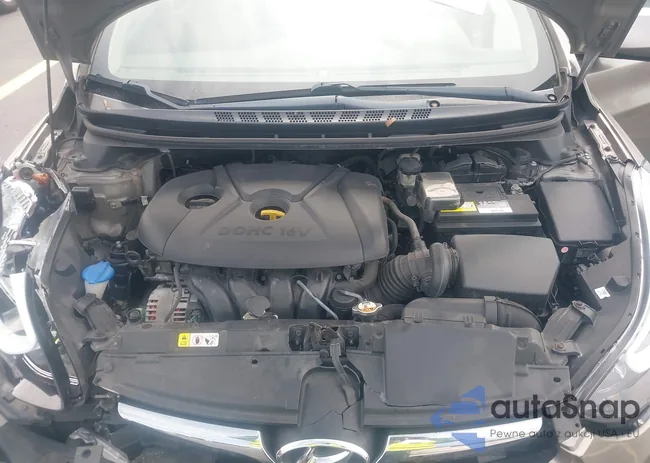 5NPDH4AEXEH519840: 42850520