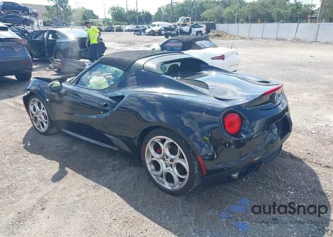 ZARBAAB46FM171550: 42851425