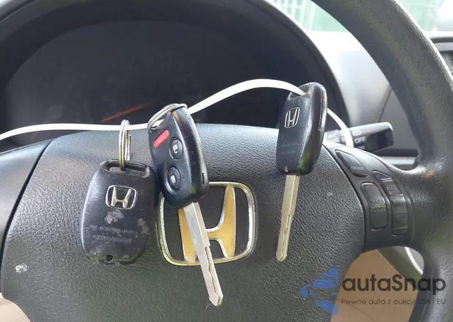 5FNRL38206B086779: 42852828