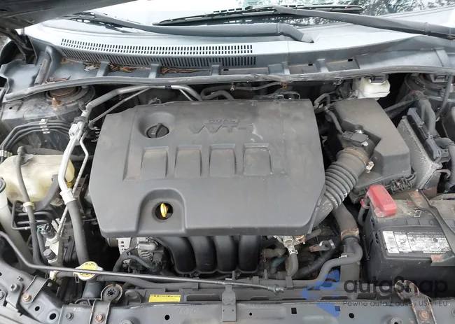 2T1BU4EE2BC738397: 42854036