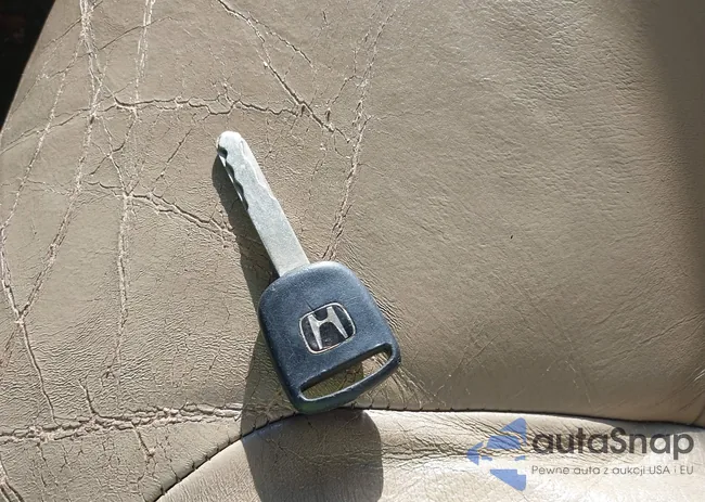 5FNRL38719B402660: 42854841