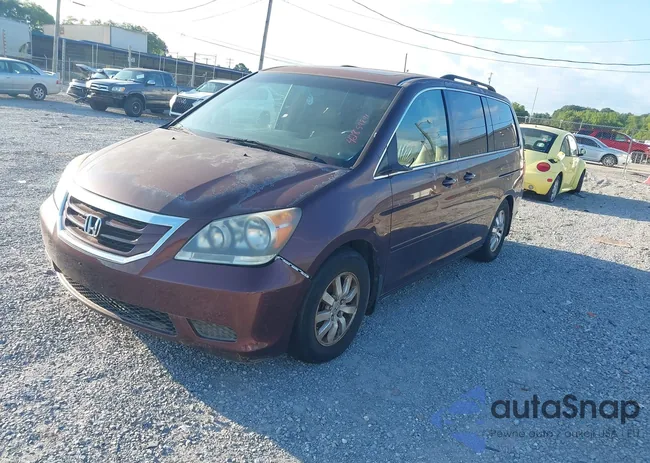 5FNRL38719B402660: 42854841