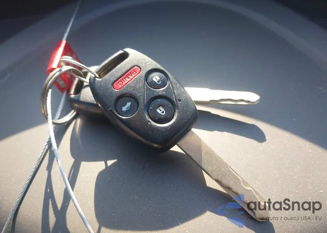 19XFB2F94CE038445: 42855169