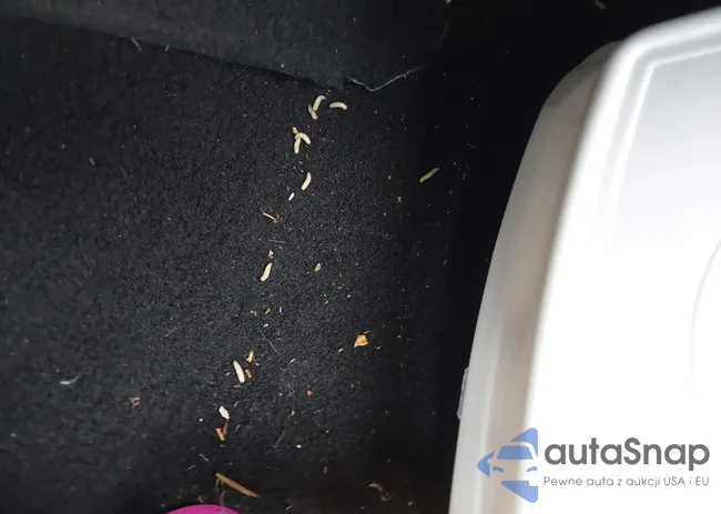 3C4PDCBG1DT571083: 42856003