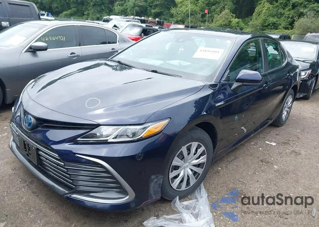 4T1C31AK8MU552172: 42856101