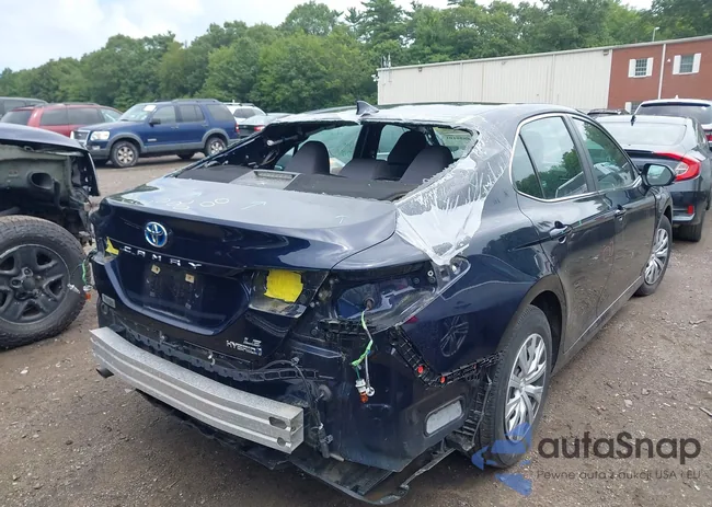 4T1C31AK8MU552172: 42856101