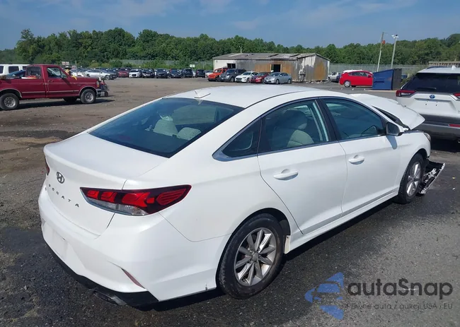 5NPE24AF0KH787564: 42855690