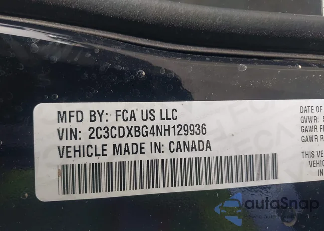 2C3CDXBG4NH129936: 42858198