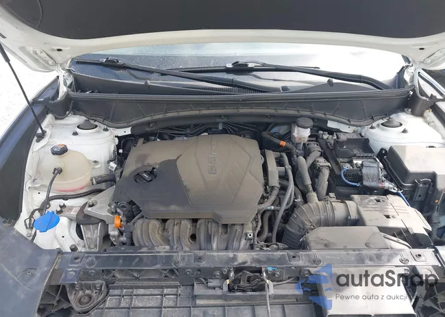 5NMJB3AE9PH202369: 42859871